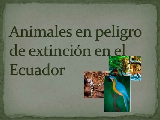 animales en peligro de extincion en ecuador