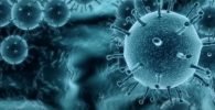 Todo sobre los virus: definición, historia y tipos de virus